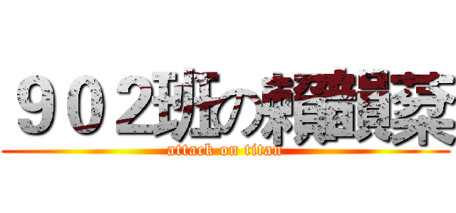 ９０２班の賴韻棻 (attack on titan)
