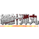 細針弾丸 (assasinate)