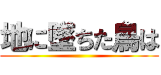 地に墜ちた鳥は ( )