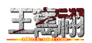 王寯祤 (attack on titan)