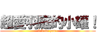 超愛羽庭的小罐！ (I Love you~)