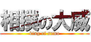 相撲の大威 (king of sumo)