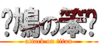 戇鳩の笨柒 (attack on titan)
