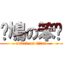 戇鳩の笨柒 (attack on titan)