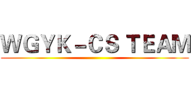 ＷＧＹＫ－ＣＳ ＴＥＡＭ ()
