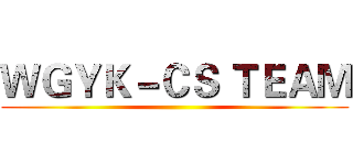 ＷＧＹＫ－ＣＳ ＴＥＡＭ ()