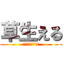 草生える (草草草草草草草草)