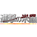 進撃の米蟲 (attack on deadwood)