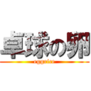 卓球の卵 (eggrice)