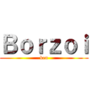 Ｂｏｒｚｏｉ (ken)