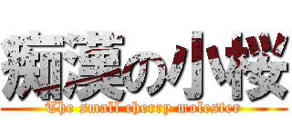 痴漢の小桜 (The small cherry molester)