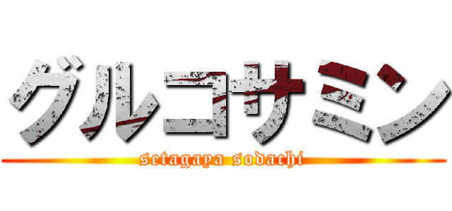 グルコサミン (setagaya sodachi)