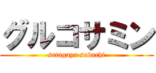 グルコサミン (setagaya sodachi)