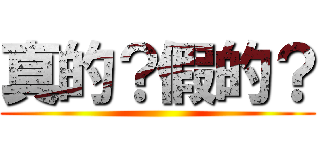 真的？假的？ ()