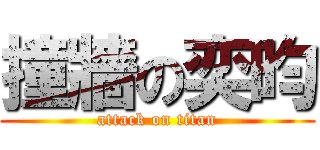 撞牆の奕昀 (attack on titan)