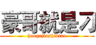 豪哥就是刁 (haogejiushidiao)