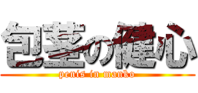 包茎の健心 (penis in manko)