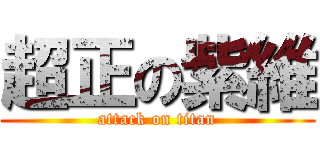 超正の紫維 (attack on titan)