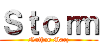 Ｓｔｏｒｍ (Nathan Marz)