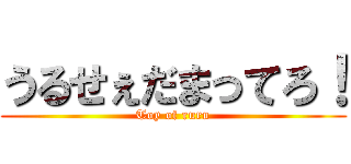 うるせぇだまってろ！ (Toy of ruru)