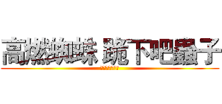 高燃蜘蛛 跪下吧蟲子 (武器狂人窗檯貓)