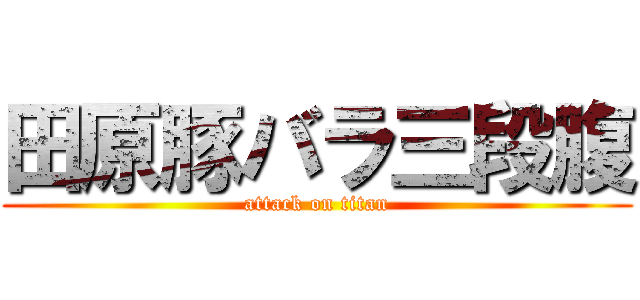 田原豚バラ三段腹 (attack on titan)
