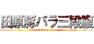 田原豚バラ三段腹 (attack on titan)