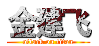 金建飞 (attack on titan)