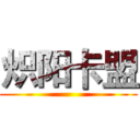 炽阳卡盟 ()