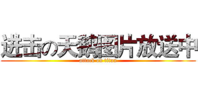 进击の天鹅图片放送中 (attack on titan)