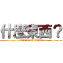 什麼東西？ (attack on titan)