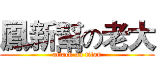 鳳新幫の老大 (attack on titan)