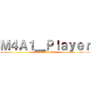 Ｍ４Ａ１＿Ｐｌａｙｅｒ (attack on LianJin)