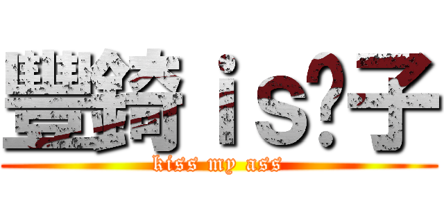 豐錡ｉｓ婊子 (kiss my ass)