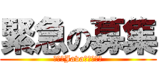 緊急の募集 (来たれJavaエンジニア)