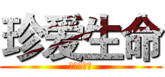 珍爱生命 (高三三班宣)