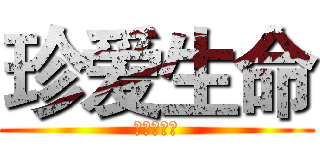 珍爱生命 (高三三班宣)