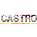 ＣＡＳＴＲＯ (mapanao)