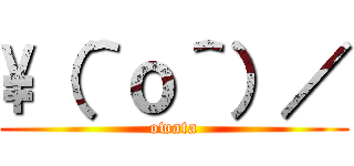 \\（＾ｏ＾）／ (owata)