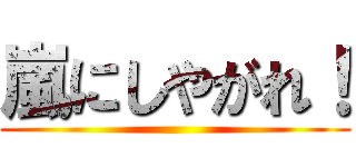 嵐にしやがれ！ ()