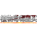 植物毒哪里买 (植物毒哪里买【电-186x2687x6963-Q278180069元-吉-药-业】我们做的是长期生意,靠的是老客户长期支持 http://sngk.net/FrZxdE
)