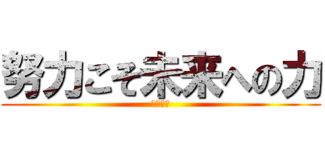 努力こそ未来への力 (体育会社)
