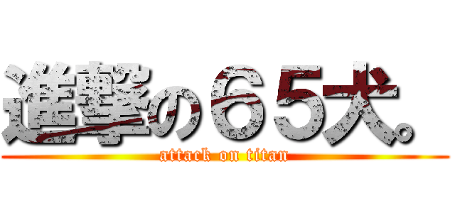 進撃の６５犬。 (attack on titan)