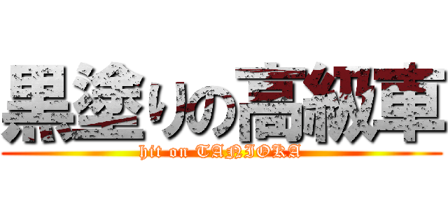 黒塗りの高級車 (hit on TANIOKA)