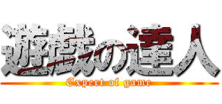 遊戯の達人 (Expert of game)