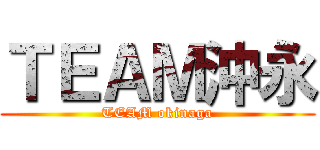 ＴＥＡＭ沖永 (TEAM okinaga)