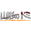 山形のドミ (He come from Yamagata)