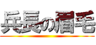 兵長の眉毛 ()