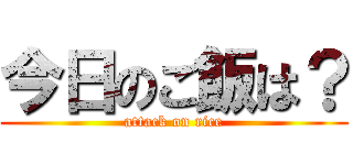 今日のご飯は？ (attack on rice)