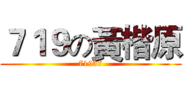 ７１９の黃楷原 (71937)